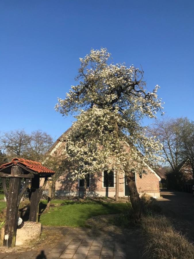 Appartement "In De Wolken" In Gees Bagian luar foto